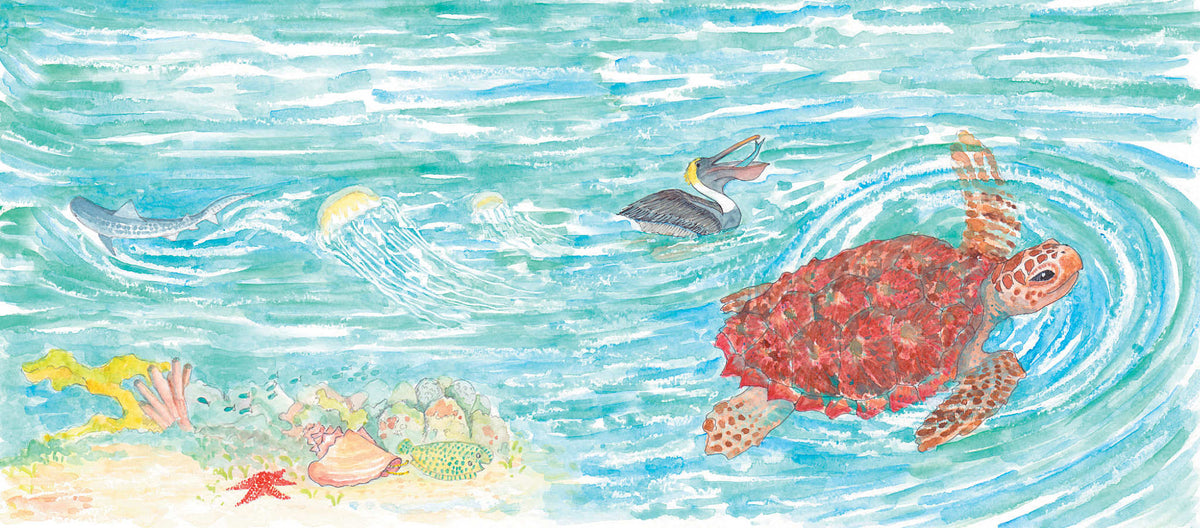 Loggerhead Life: Storybook