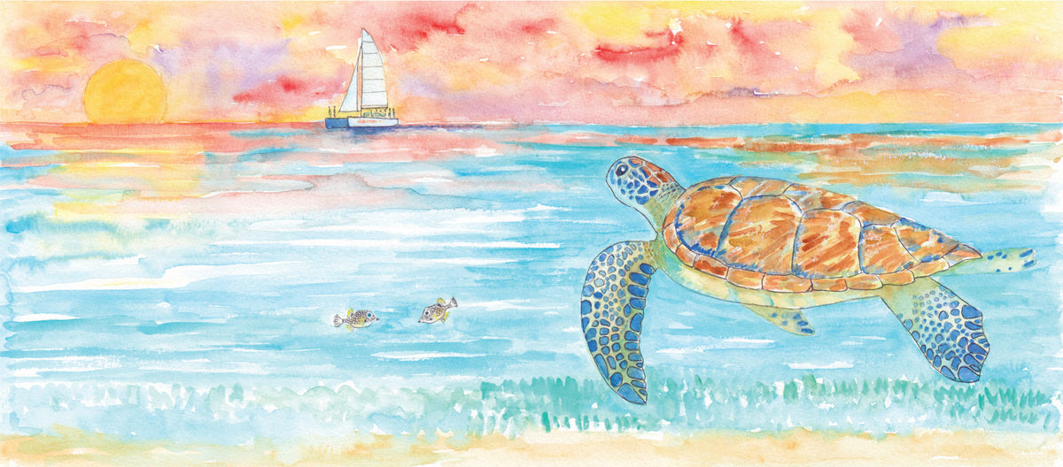 Turtle Tracks: Storybook – Turtle Tracks Family