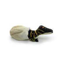 Load image into Gallery viewer, Gators Galore: "Giz" Gator Hatchling Plush Toy