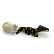 Load image into Gallery viewer, Gators Galore: "Giz" Gator Hatchling Plush Toy