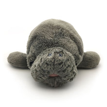 Load image into Gallery viewer, Manatee Magic: "Hugh" Manatee Plush Toy