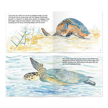 Load image into Gallery viewer, Turtle Tracks: Storybook