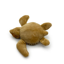 Load image into Gallery viewer, Turtle Tracks: "Tilli" Turtle Plush Toy (Mini)