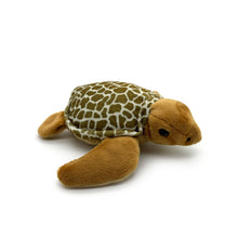 Load image into Gallery viewer, Turtle Tracks: "Tilli" Turtle Plush Toy (Mini)