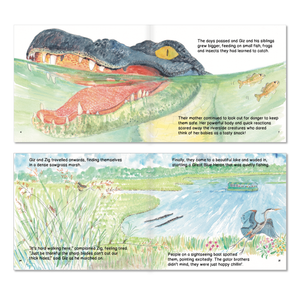 Gators Galore: Storybook