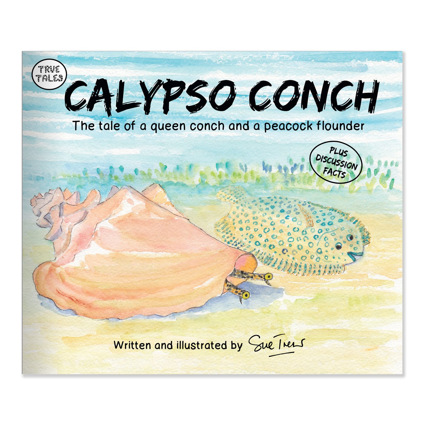 Calypso Conch: Storybook