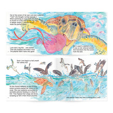 Load image into Gallery viewer, Loggerhead Life: Storybook
