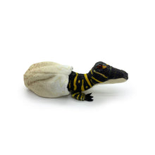 Load image into Gallery viewer, Gators Galore: &quot;Giz&quot; Gator Hatchling Plush Toy
