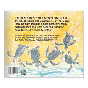 Turtle Tracks: Storybook