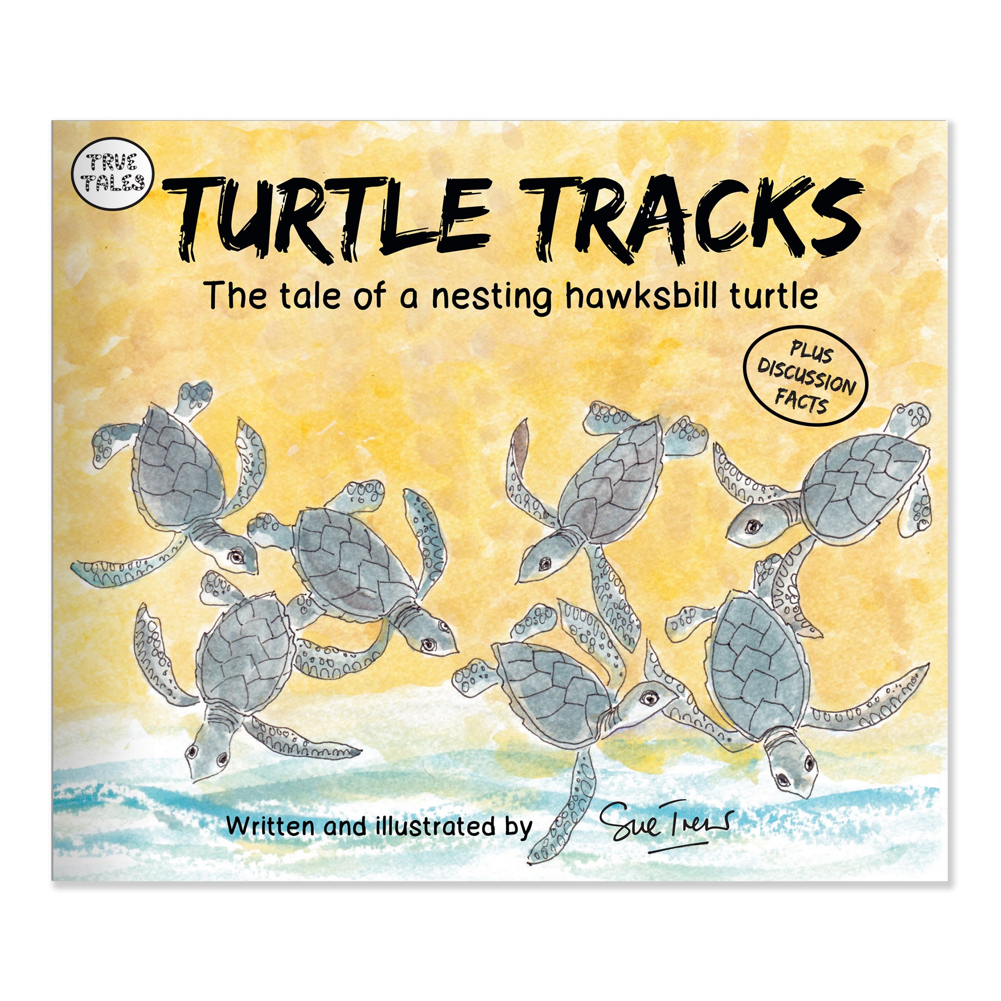 Turtle Tracks: Storybook – Turtle Tracks Family
