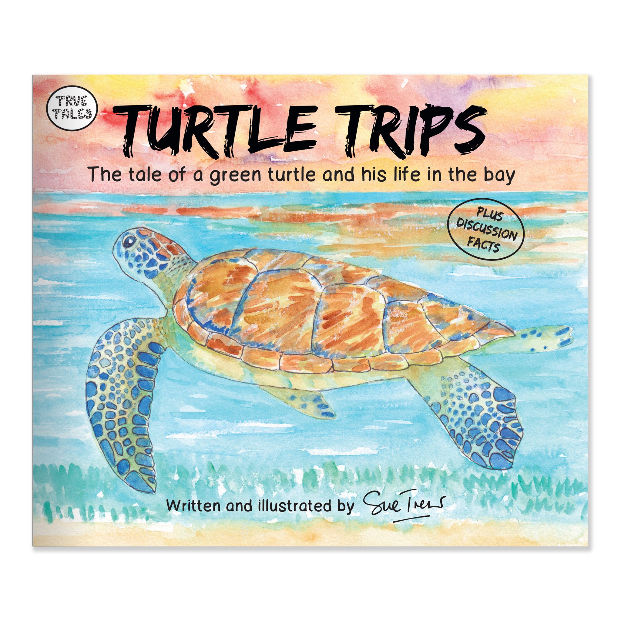 Kid's Book Review: Turtle Bay
