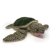 Load image into Gallery viewer, Turtle Trips: “Gus” Green Turtle Plush Toy
